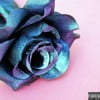 Imperfectly Perfect 2
