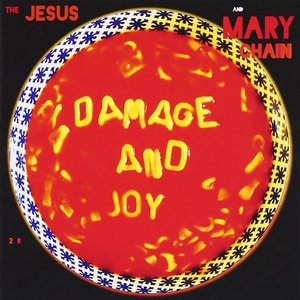 Damage And Joy