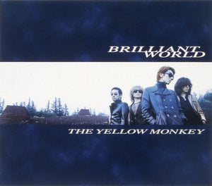 Brilliant World