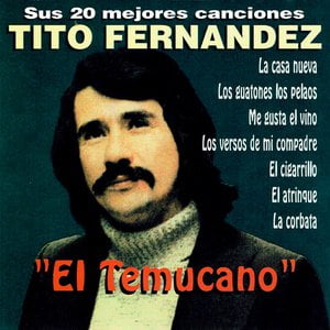 Sus 20 Mejores Canciones