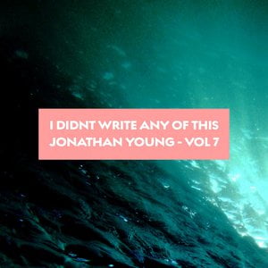 I Didn't Write Any of This, Vol. 7