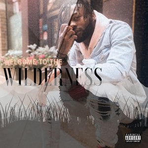 Welcome to the Wilderness