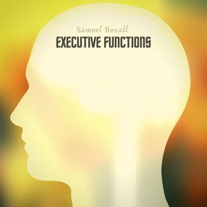 Executive Functions