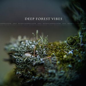 Deep Forest Vibes (Remastered 2021)
