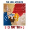 Big Nothing