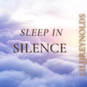 Sleep In Silence
