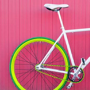 Wanita Fixie