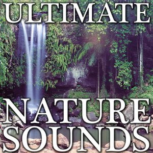 Nature Sounds (Ultimate Nature Sounds over 8 Hours of Nature)