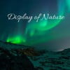 Display of Nature