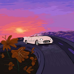 summer nights