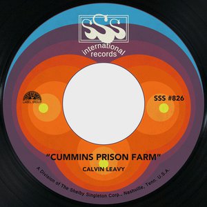 Cummins Prison Farm / Brought You to the City