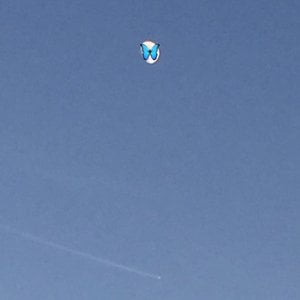 Sweet Flying