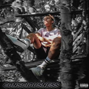 Consciousness