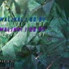 I Go By
