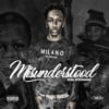 Misunderstood