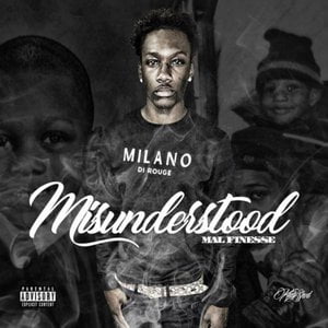 Misunderstood