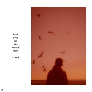 they told me you would come (lyt.)