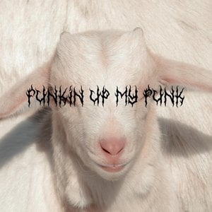 Funkin' Up My Funk