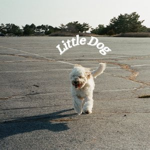 Little Dog