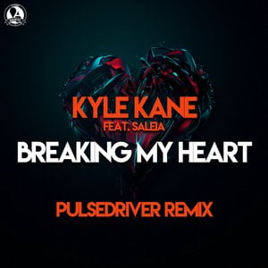 Breaking My Heart (Pulsedriver Remix)