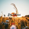 Day Dreams