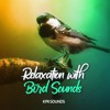 Relaxation with Bird Sounds