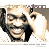 Bridging the Gap Remastered