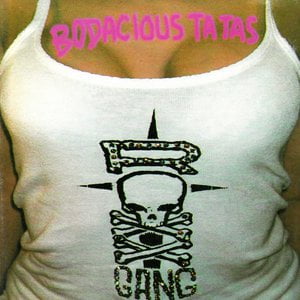 Bodacious Ta Tas: The Best of Roxx Gang