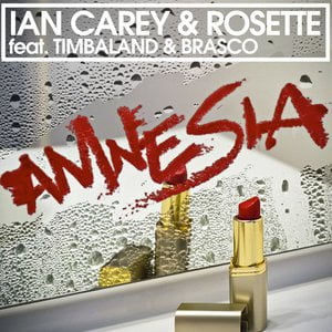 Amnesia (feat. Timbaland & Brasco) [Remixes]