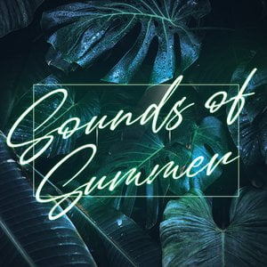 Sounds Of Summer