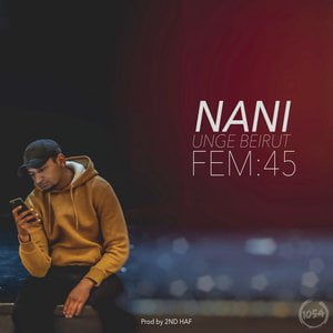 Fem:45