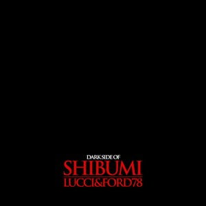 Dark Side Of Shibumi