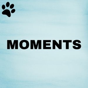 Moments