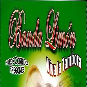 Puros Corridos Fregones