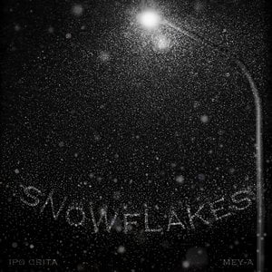 Snowflakes (with Mey-A)