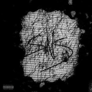 SINS