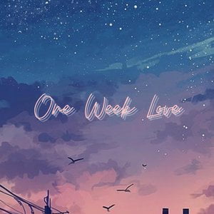 One Week Love