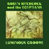 Luminous Groove