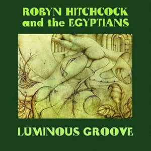 Luminous Groove