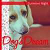 Summer Night