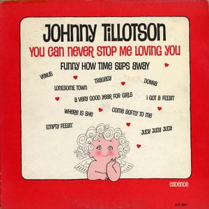 You Can Never Stop Me Loving You