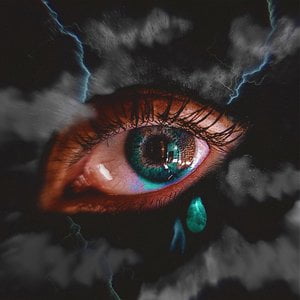 THROUGH THE STORM, Vol. 1