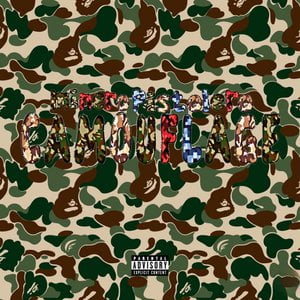 Camouflage