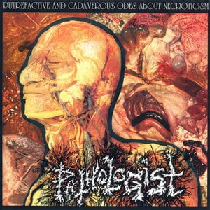 Putrefactive And Cadaverous Odes About Necroticism Putrefactive And Cadaverous Odes About Necroticism