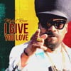 I Give You Love