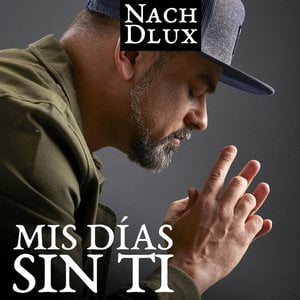 Mis Días Sin Ti