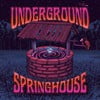 Underground Springhouse
