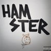 HAMSTER