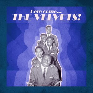 Here Come... The Velvets!