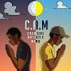 C.A.M. The Creative Artistic Mind